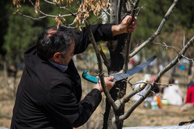 نقش مهم مردم در حفاظت از عرصه های ملی